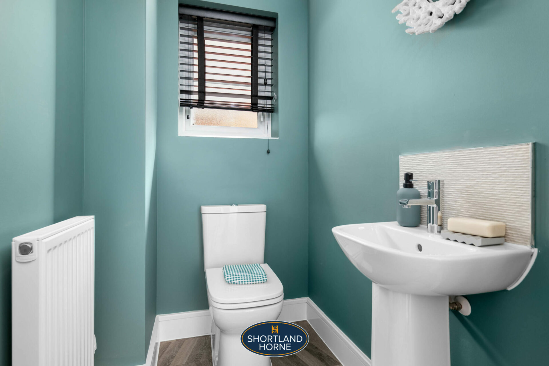 downstairs WC with blue walls